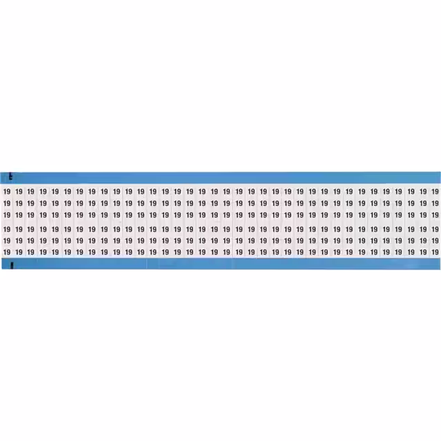WM-19-SC-PK
